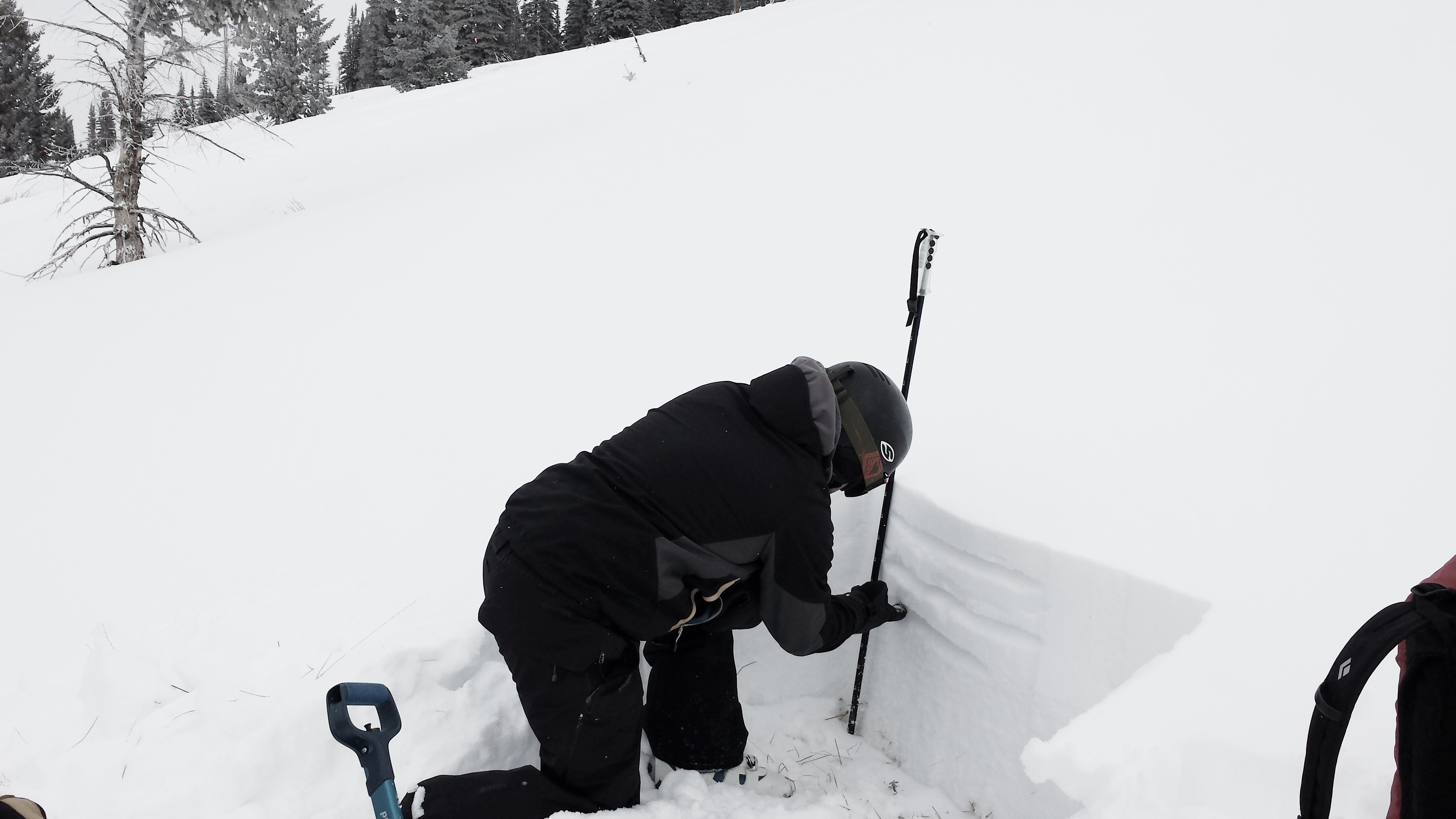 Shallow snow pack examined by the SAC