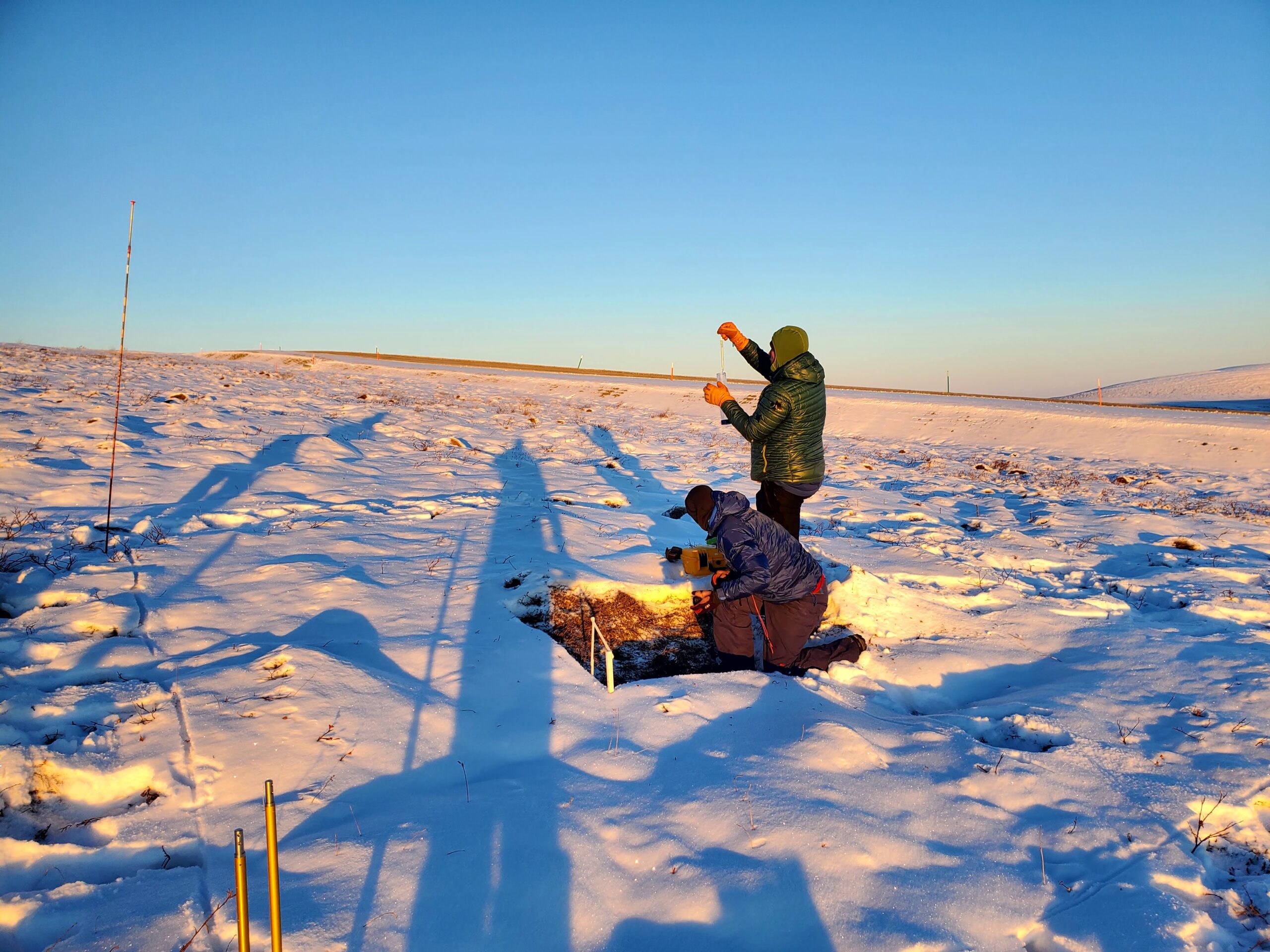 measuring shallow arctic snow